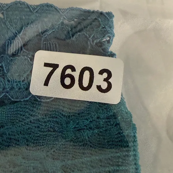 Intimately‎ Free People Women Ocean Teal Lace Bandeau Bra NWT Size M F7150220A - Image 8