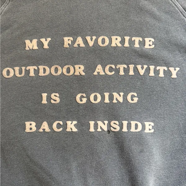 Wildfox Gray Graphic Sweatshirt - Image 2