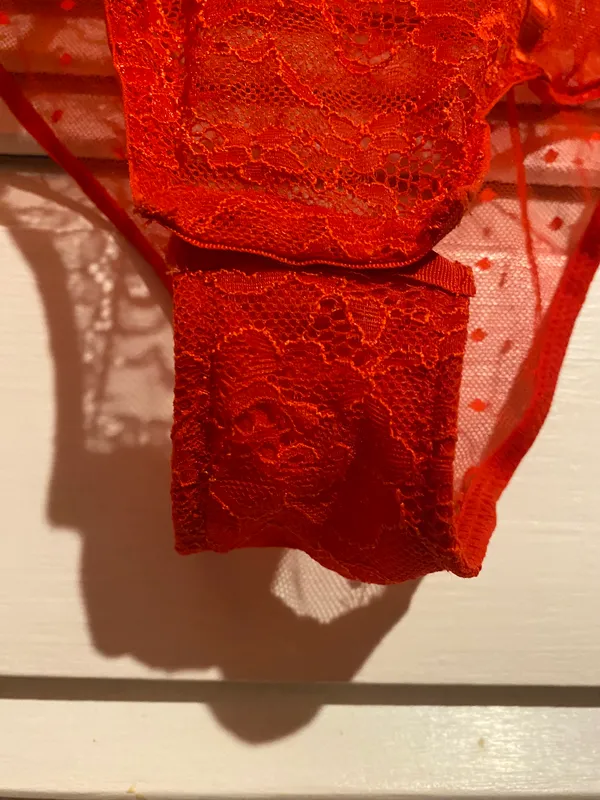 TJ Maxx teddy lingerie - Image 3