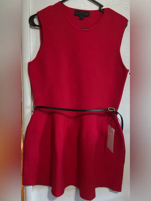 #80 NWT Zara Red Sleeveless A-Line Mini Dress Size Large - Image 3