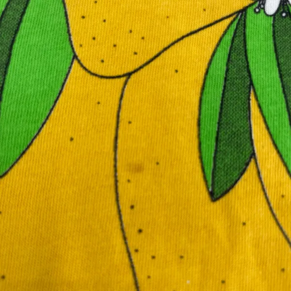 Big Bud Press Lemon Yellow Short Sleeve Lemonade Ringer Tee Anniversary Size M - Image 5