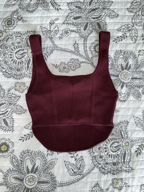 Babaton Aritzia Corset Top - Image 3