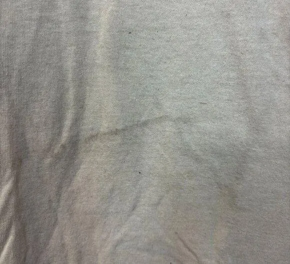 Selena Quintanilla Puffy Print Spell-Out The Queen of Tex-Mex Tee S - Image 5