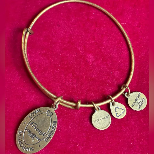 Alex And Ani Friend Charm Bracelet - Image 2