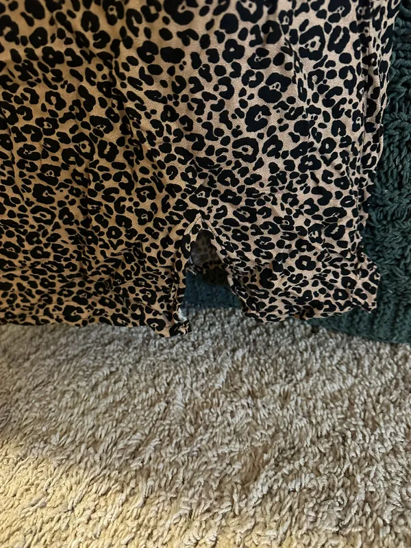 Francesca's Mini Leopard Dress - Image 3