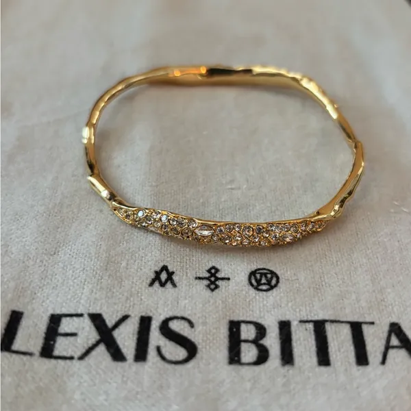 NWOT Alexis Bittar   Bangle - Image 7