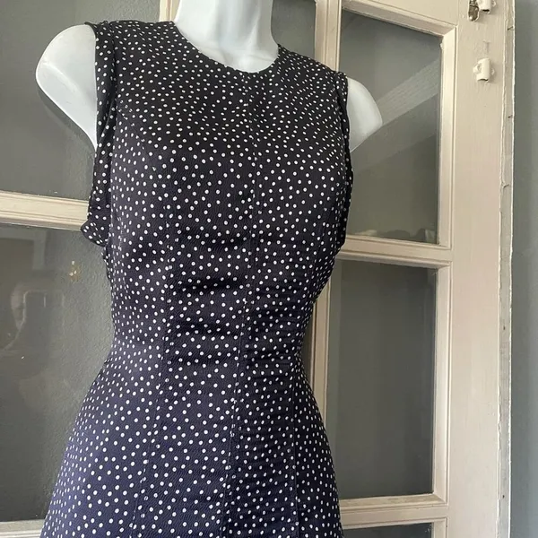 Alexis Dutsa Polkadot Dress - Image 7