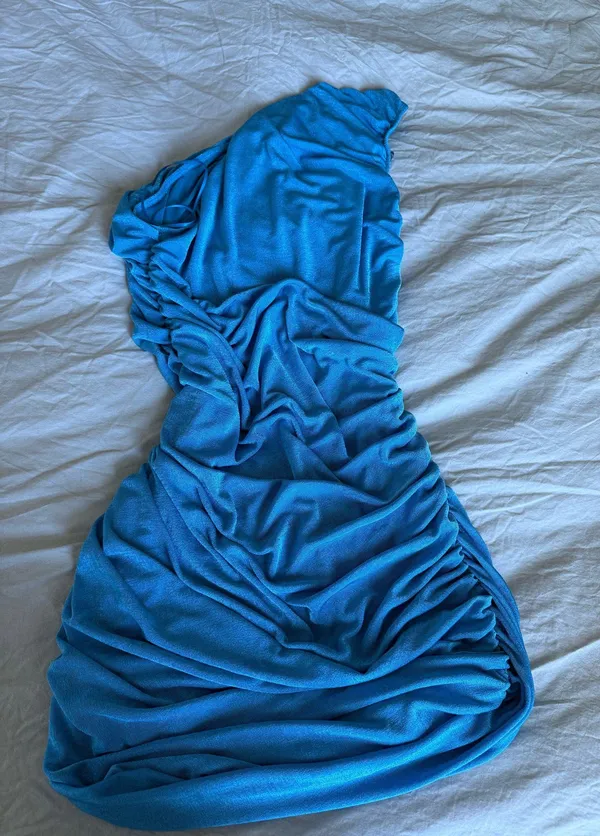 Aquamarine Lioness Dress - Image 4