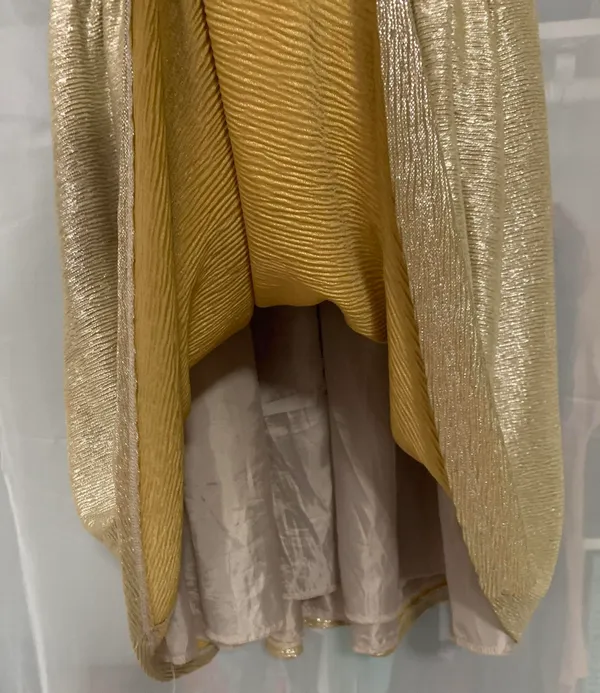 Gold Dress - Image 3