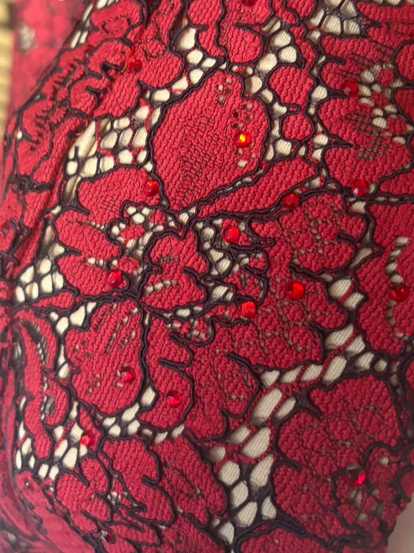 Ellie Wilde mon Cheri red and tan lace gown size 4 - Image 13