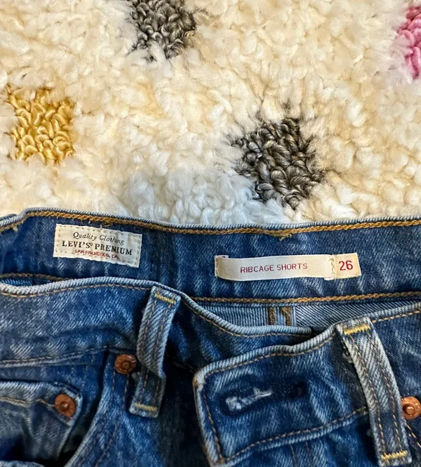 Ribcage Denim Shorts - Image 3
