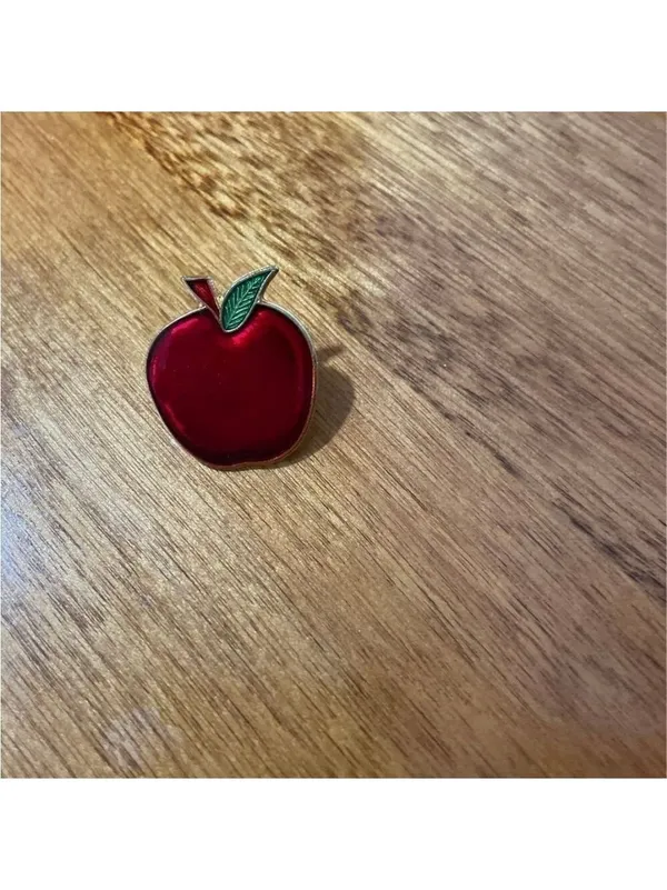 Teacher Brooch Pin Collection Red - Image 8
