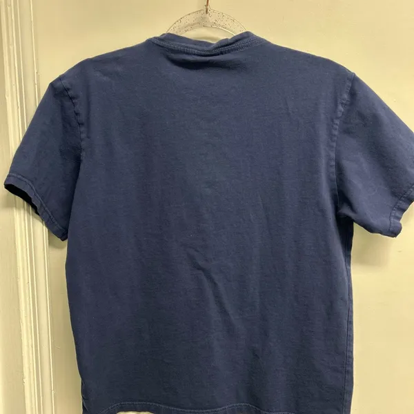 Lacoste Blue Tee with Green Embroidery - Image 4