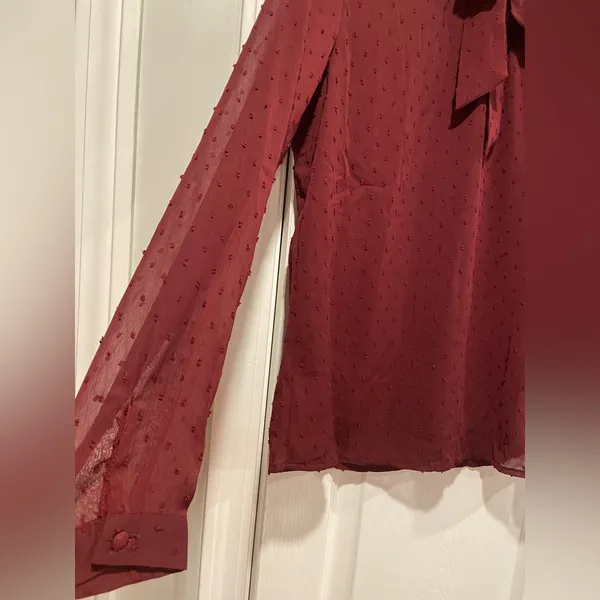 NWT Aconiya Size M Burgundy Swiss Dot Chiffon Lined High Neck Bow Lined Top - Image 4