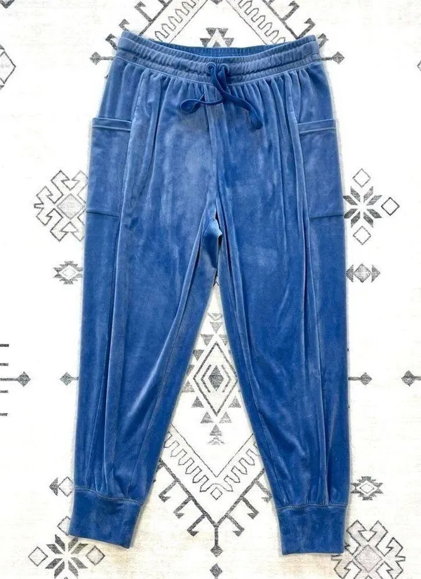 Aerie Offline Blue After Party Velour Joggers Large - Image 3