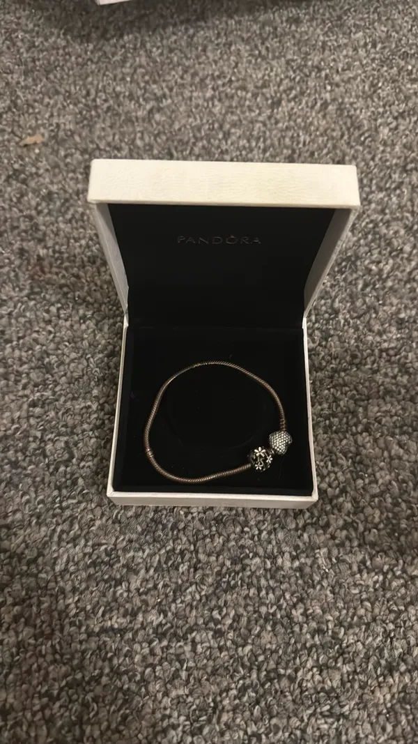 Pandora Charm Bracelet - Image 3