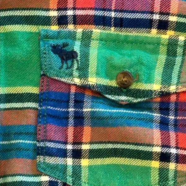 VTG Y2K Abercrombie & Fitch XS Green Plaid Flannel Shirt Moose logo Fitted fall - Image 4