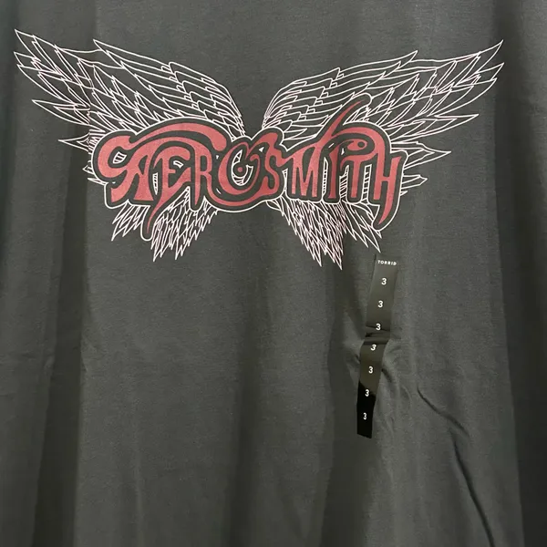 Torrid Aerosmith Oversized Fit Crew Cotton Tee - Image 2