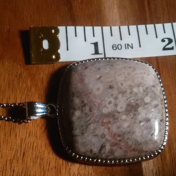 Ocean Fossil Jasper Inlay Frame Silvertone Pendant Stainless Steel Necklace - Image 6