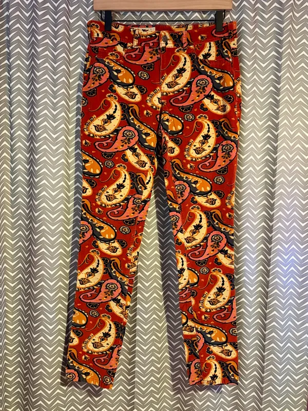 NWOT Anthropologie / Pilcro and Letterpress | Corduroy Paisley Skinny Pants, 29 - Image 2
