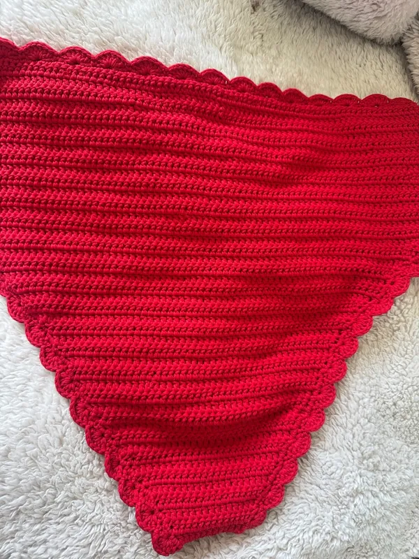 BEACH RIOT Kirby Bottom Ruby Crochet, Size Large , $138 - Image 14