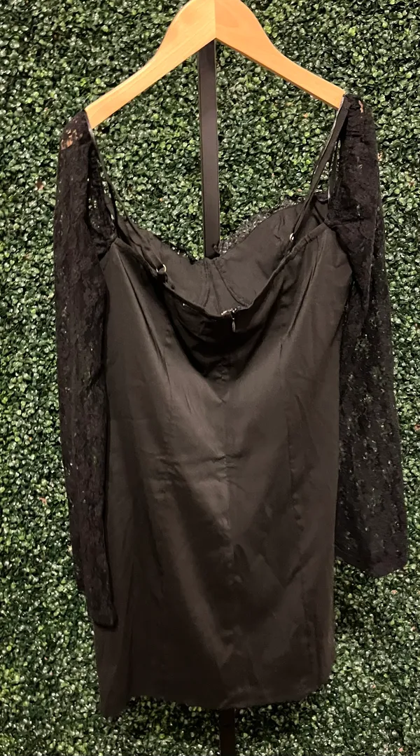 Isabelle’s Cabinet Sky to Moon Lace Sleeve Bustier Dress - Image 5