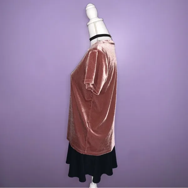 Abercrombie & Fitch Mauve Velour Top - Image 6