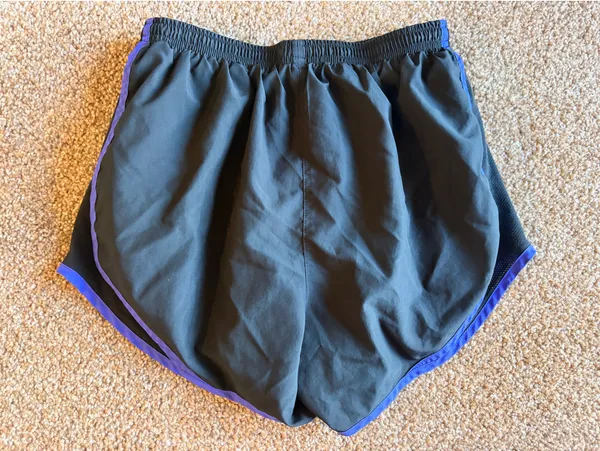 Nike Shorts - Image 2