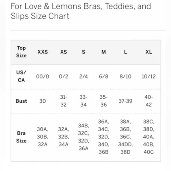 For Love and Lemon’s Nina Floral Lace Front Ruffle‎ Cropped Blouse - Multi XXS - Image 5