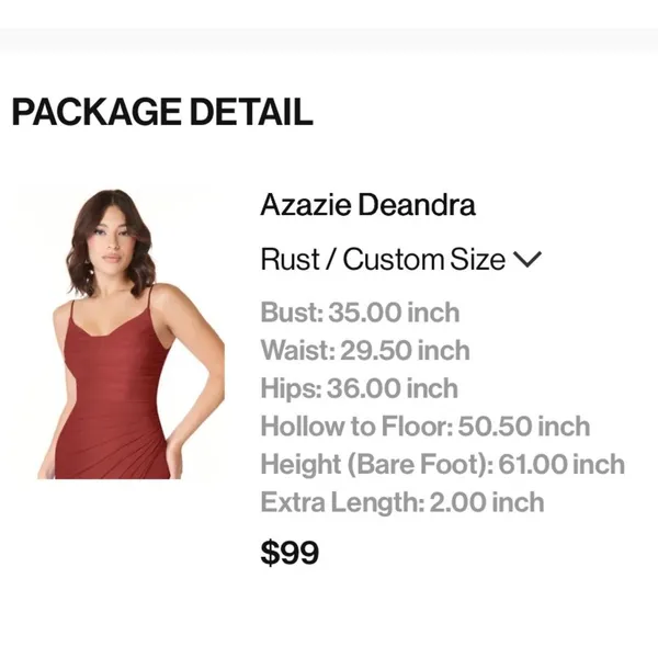 Azazie Deandra Rust Full Length Chiffon Bridesmaid Dress - Image 6
