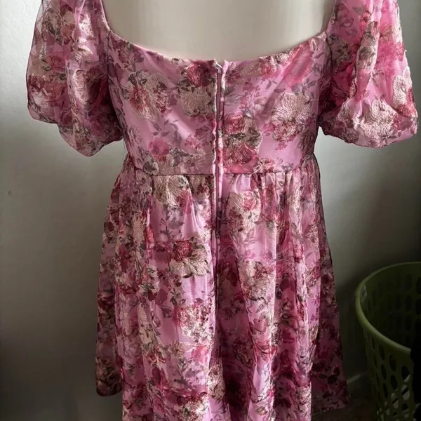 Floral Embroidered Mesh Mini Dress Pink Puff Sleeve Coquette Audrey Parks M - Image 3