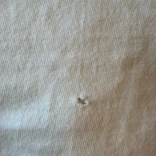 Hanes White Short Sleeve Tee - Image 5