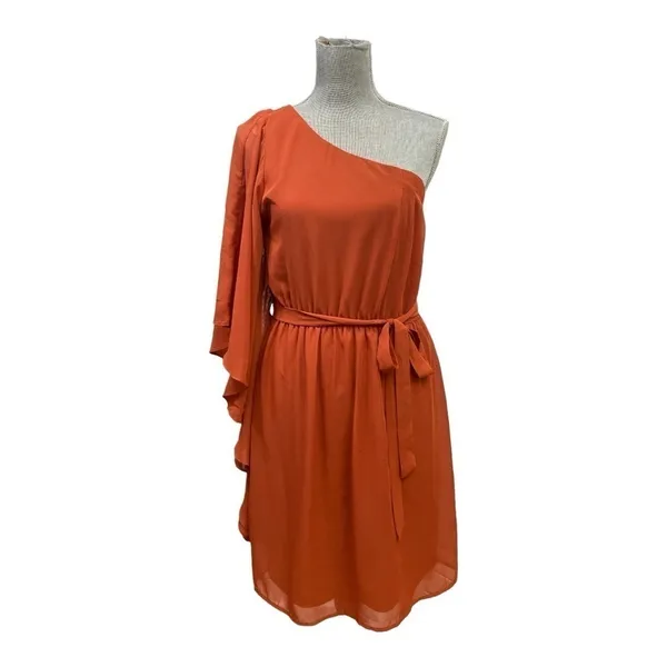 AUW One shoulder dress, Rust color, elastic back, hip sash size L, Knee length - Image 2