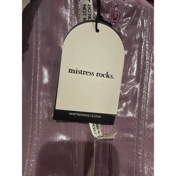Mistress Rocks House‎ of CB Cultured Lilac Strapless Corset Top NWT Small SOLD OUT - Image 10