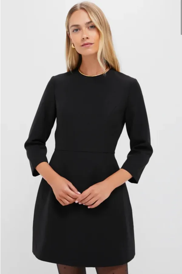 Tuckernuck Black Dress  - Image 4