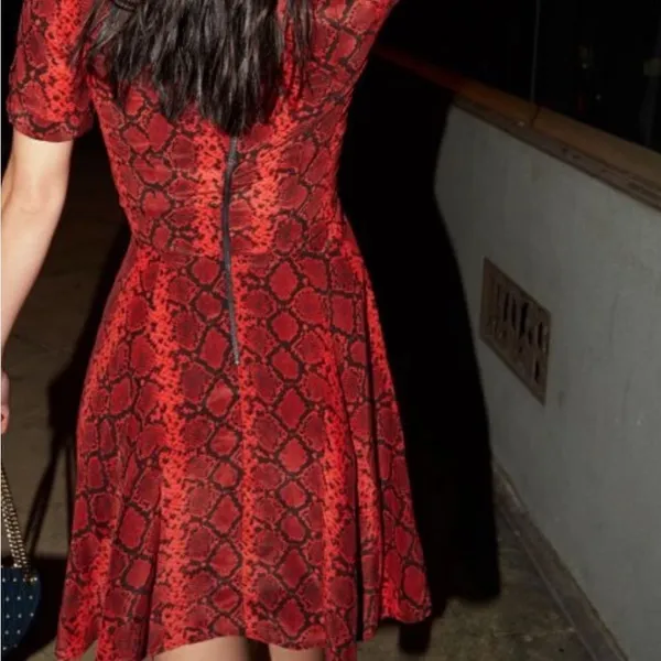 Red Black Python Snake Print Silk Blend Fit and Flare Dress - Image 3