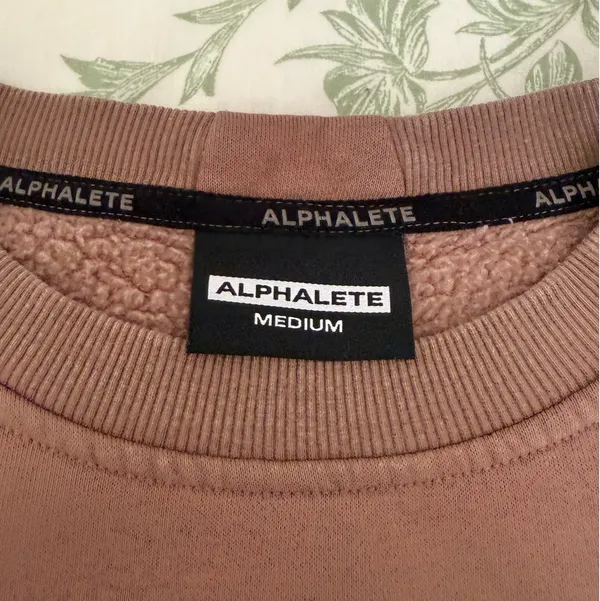Alphalete Sweatshirt Brown - Image 3