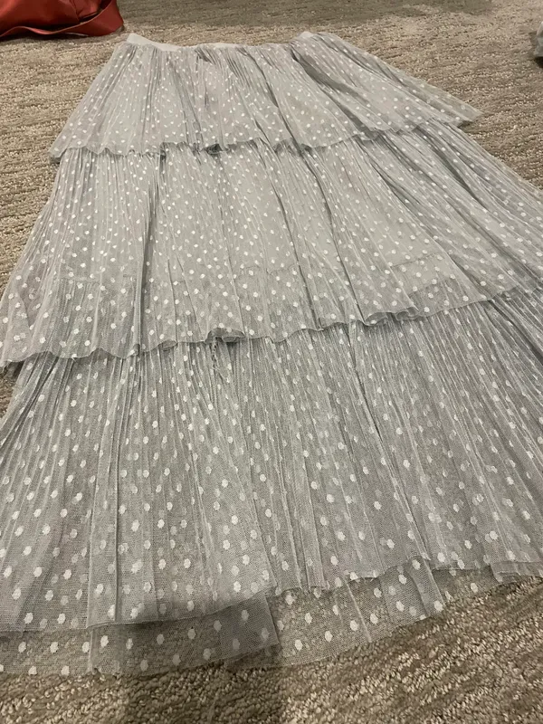 Chicwish Tulle Skirt - Image 2