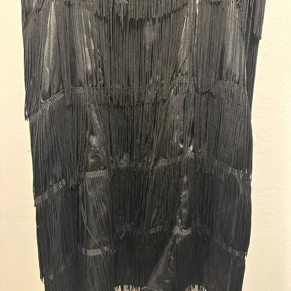 Flapper fringe dress Halloween costume! Black fringe, mini dress size medium! - Image 4