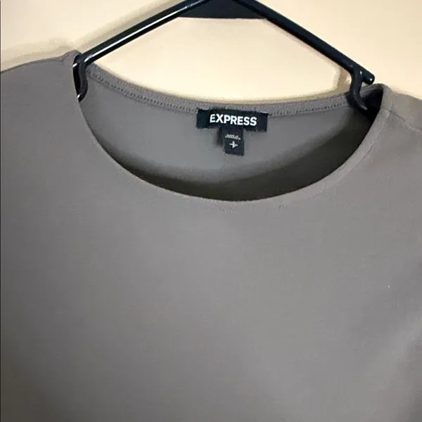 Express Taupe Gray Long Sleeve Crewneck Bodysuit - Image 3