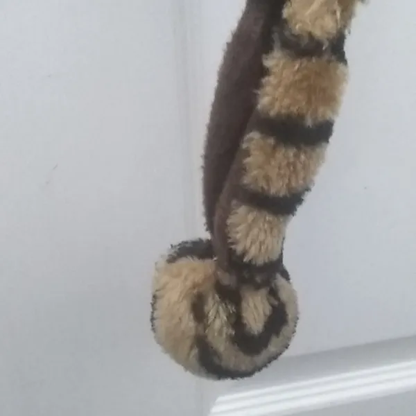 FINAL MARKDOWN Fun and funky tiger hat - Image 7