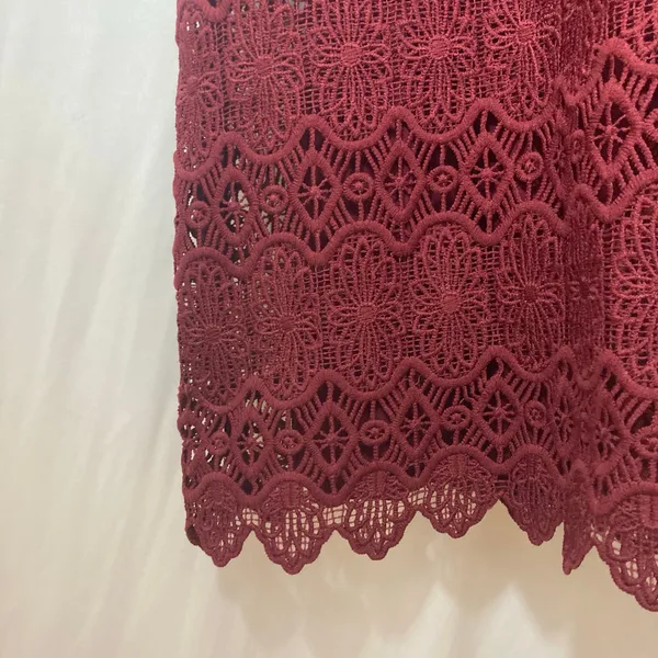 NWT Abercrombie and Fitch 1892 Collection Lace Short Sleeve Mini Dress Medium - Image 5