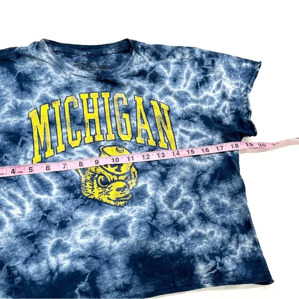 The Original Retro Brand U of Michigan Wolverines Tie Dye Crop Graphic T-shirt - Image 4
