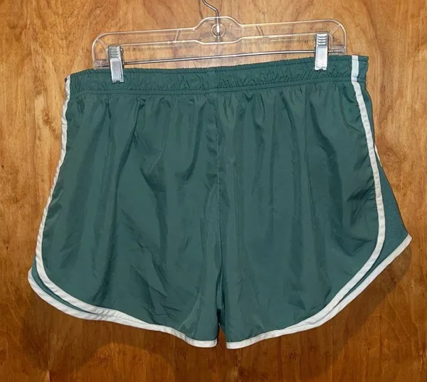Nike Dri-Fit Shorts - Image 2