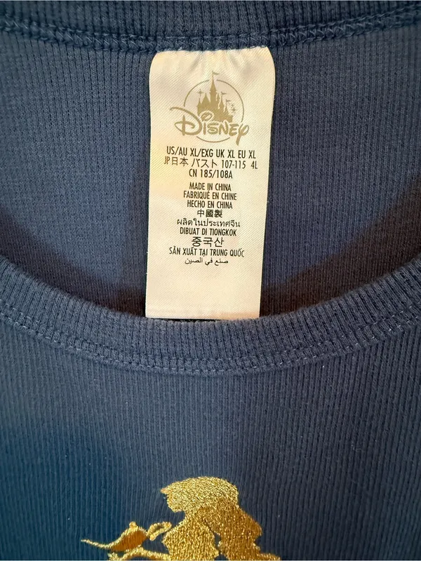 Disney Aladdin’s Jasmine and Magic Lamp Embroidered Sleeveless Tank - Image 4
