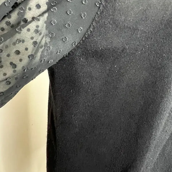 Adrianna Papell Swiss Dot Sheer‎ Sleeve Crewneck Long Sleeve Sweater - Image 2