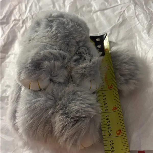 Fluffy Gray Fur animal - Image 4