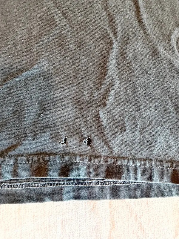 Comfort Colors Free Bird Eagle Graphic T Shirt M Faded Charcoal Distressed - Image 2