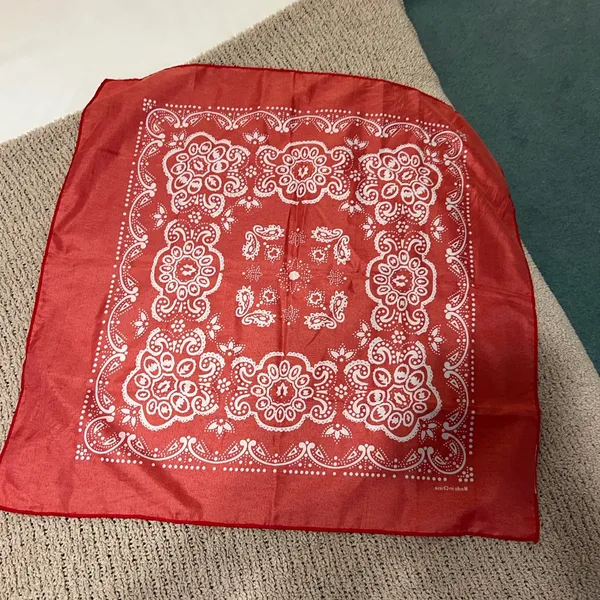Red Paisley Square Bandana Scarf - Image 2