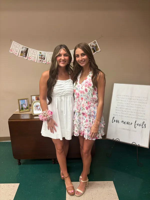 dress Pink - Image 2